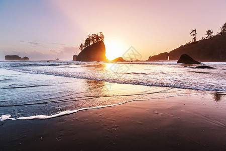 风景优美,严谨的太平洋海岸奥林匹克公园,华盛顿,美国海洋中的岩石海滩上的大原木图片