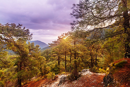 深圳荔枝公园土耳其山脉美丽的自然景观荔枝路徒步旅行者中很名背景