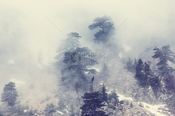 土耳其山脉美丽的自然景观荔枝路徒步旅行者中很名图片