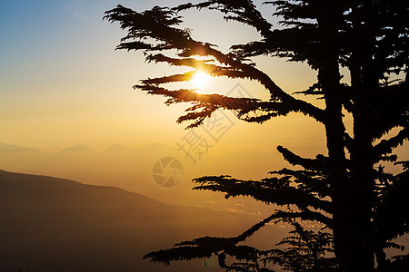 土耳其山脉美丽的自然景观荔枝路徒步旅行者中很名图片