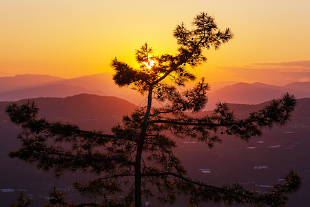 深圳荔枝公园土耳其山脉美丽的自然景观荔枝路徒步旅行者中很名背景