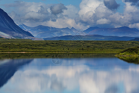 阿拉斯加湖阿拉斯加苔原的宁静湖图片