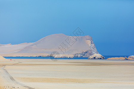 美丽的海岸线景观帕拉卡斯保护区,ICA地区,太平洋海岸秘鲁图片