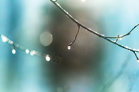 雨后图片