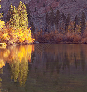 内华达山脉的风景秋天的树叶景观加州,美国图片