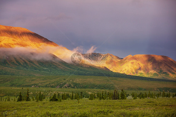 夏天阿拉斯加风景如画的山脉积雪覆盖的地块,冰川岩石峰图片