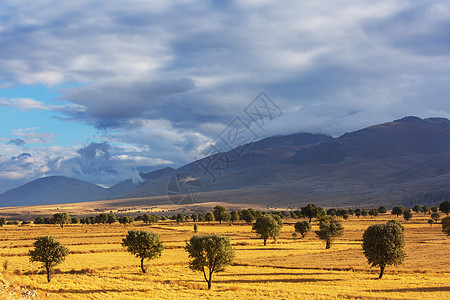 土耳其风景如画的乡村景观秋天的季节图片