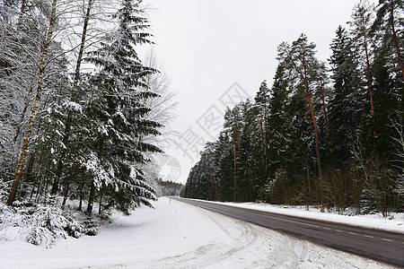 白雪覆盖的森林道路,冬季景观图片
