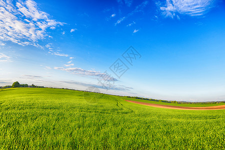春天绿色的草地天空景观图片