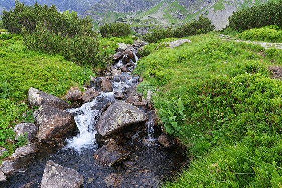 山中流水的小溪图片