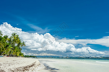 阿洛纳热带海滩与棕榈树Panglao,菲律宾图片