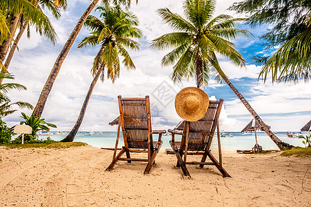 菲律宾美丽的海滩上棕榈树图片
