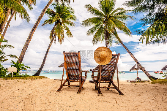 菲律宾美丽的海滩上棕榈树图片