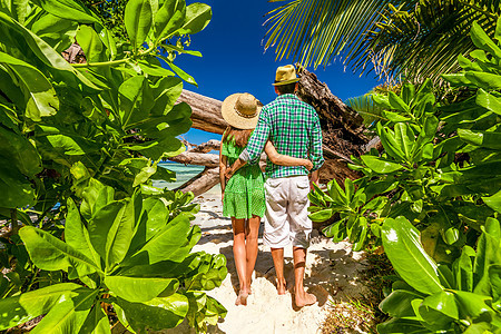 夫妇步行海滩,塞舌尔群岛,拉迪格的热带树叶中,片原始的海滩图片