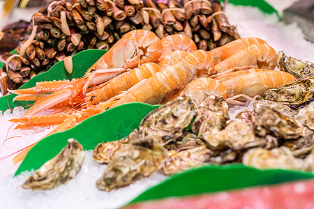 海鲜市场上新鲜的龙须菜牡蛎图片