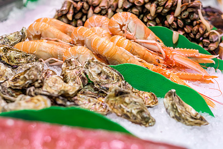 海鲜市场上新鲜的龙须菜牡蛎图片