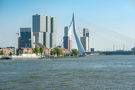 鹿特丹城市景观天际线与伊拉斯谟桥尼乌韦马斯莱茵河河流前荷兰荷兰南部图片