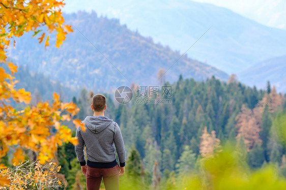 游客男子徒步红杉公园秋天,看秋天的山景观加州,美国图片