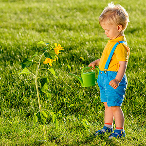 户外幼儿的肖像农村场景与岁的小男孩用浇水罐向日葵图片