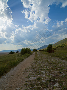 傍夏季景观青草道路云彩图片