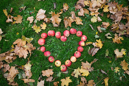 季节,自然,爱,情人节环境的苹果的心形秋天的叶子草地上图片