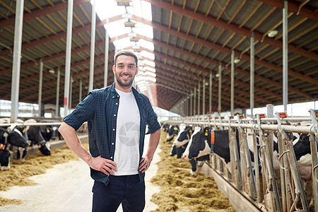 农业,人畜牧业的快乐的微笑轻人农民与牛群奶牛场的牛棚图片