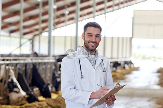 农业,人畜牧业的兽医医生与剪贴板牛群奶牛场的牛舍图片