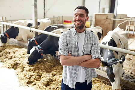 农业,人畜牧业的快乐的微笑轻人农民与牛群奶牛场的牛棚图片