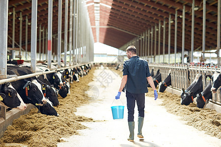 农业农业人畜牧业轻人农民,带着水桶沿着奶牛场奶牛场走图片