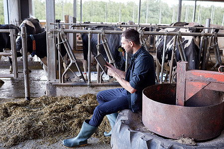 农业工业,农业,人,技术畜牧业轻人农民与平板电脑电脑奶牛场的牛舍图片