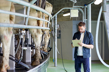 农业,人,挤奶畜牧业的轻人农民与剪贴板奶牛客厅系统奶牛场背景图片