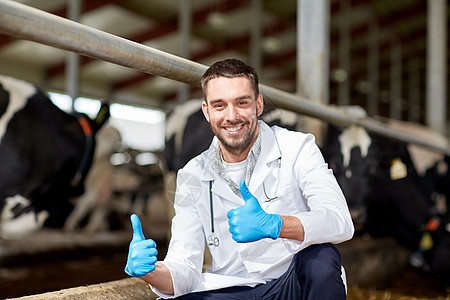 农业工业,农业,人畜牧业的兽医医生奶牛场的牛舍竖大拇指的手势图片