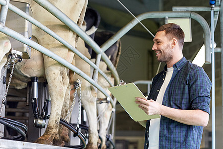 农业,人,挤奶畜牧业的轻人农民与剪贴板奶牛客厅系统奶牛场图片