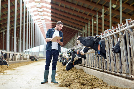 农业,人畜牧业的快乐的微笑轻人农民与剪贴板奶牛奶牛场的牛舍图片
