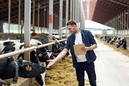 农业,人畜牧业的快乐的微笑轻人农民与剪贴板奶牛奶牛场的牛舍图片
