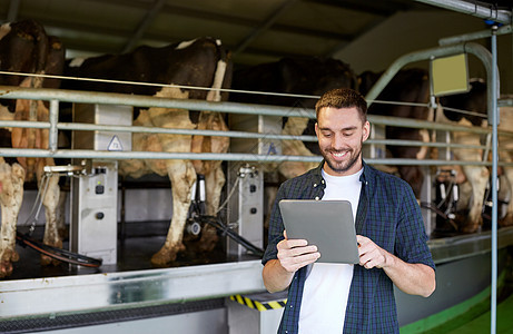 农业工业,农业,人,技术畜牧业轻人农民与平板电脑奶牛客厅系统奶牛场图片
