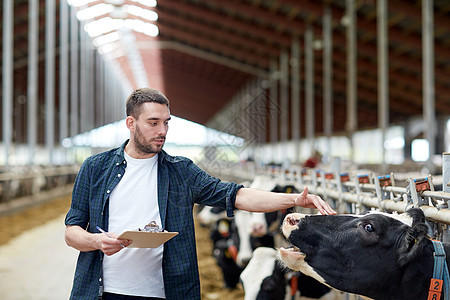 农业,人畜牧业的轻人农民与剪贴板奶牛奶牛场的牛舍图片