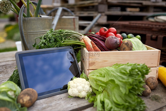 收获,食品农业蔬菜与平板电脑电脑农场农场用平板电脑蔬菜图片