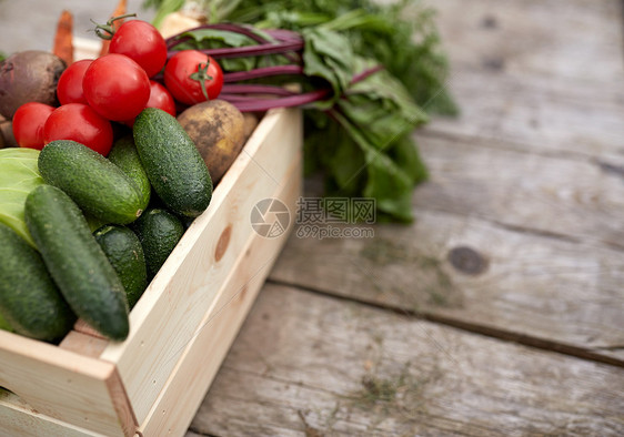 收获,食物农业农场的蔬菜农场上的蔬菜图片