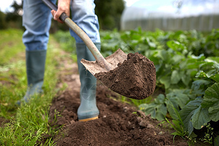 农业,园艺,农业人的用铲子挖花园床农场的人用铲子挖花园床农场的人图片