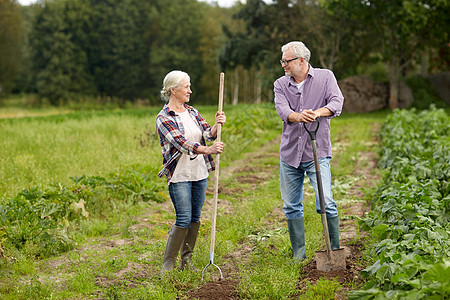 农业,园艺,农业人的资深夫妇与铲子花园农场长的夫妇花园农场用铲子背景图片