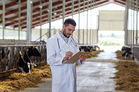 农业,人畜牧业的兽医医生与剪贴板牛群奶牛场的牛舍奶牛场的牛舍里养奶牛的兽医图片