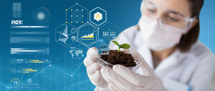 科学生物学生态学研究蓝色背景虚拟图表上,用植物土壤样本手持培养皿,戴着保护具的轻女科学家科学家与植物背景图片