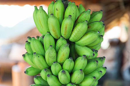 水果,销售食品堆绿色香蕉街头市场街头市场上的堆绿色香蕉图片