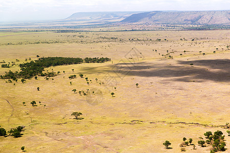 自然景观环境野生动物非洲马赛马拉保护区草原景观查看非洲马赛马拉萨凡纳景观图片