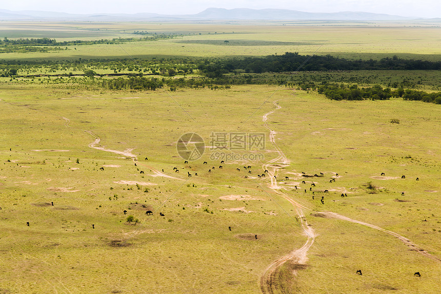 ‘~自然景观野生动物非洲马赛马拉保护区热带草原的观点马赛马拉保护区热带草原非洲  ~’ 的图片