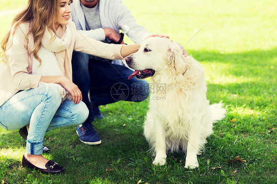 家庭,宠物,动物人的亲密的幸福夫妇与拉布拉多猎犬城市公园散步户外拉布拉多狗亲密接触图片