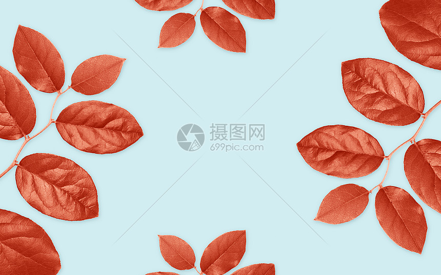 红叶蓝色背景上的红叶高清图片下载 正版图片 摄图网