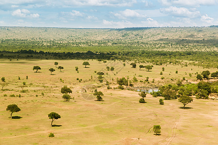 自然景观野生动物非洲马赛马拉保护区热带草原的观点马赛马拉保护区热带草原非洲图片