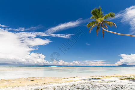旅行,海景自然印度洋岛屿海滩塞舌尔塞舌尔群岛印度洋的岛屿海滩图片